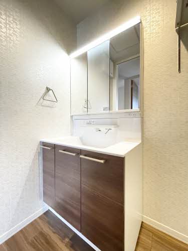 Ｌａ　ｐｅｉｎｔｕｒｅ A0205号-3