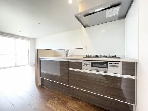 Ｌａ　ｐｅｉｎｔｕｒｅ A0205号-10