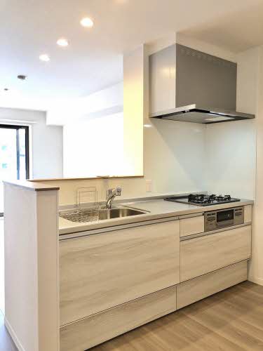 ロイヤルウイング A0202号-3