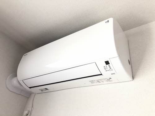 トリフォリア A0103号-10