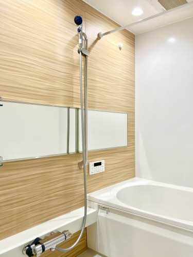 ＣＯＬＯＲＥＲ A0103号-10