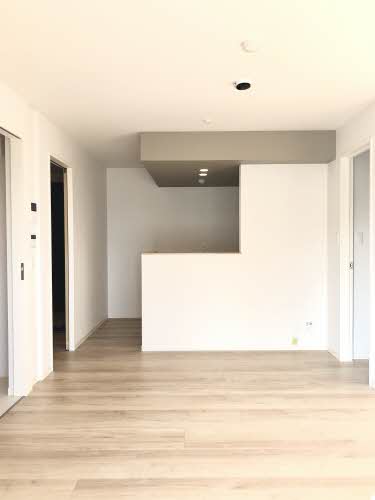 ミモザ A0201号-3