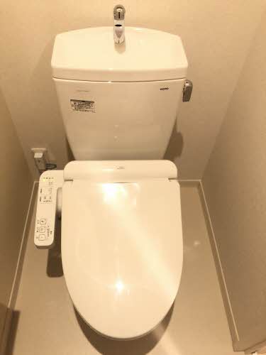 ミモザ A0305号-10