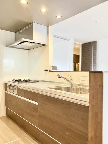 パインツリー A0201号-3