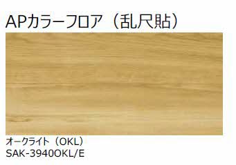 Advance 0301号-4