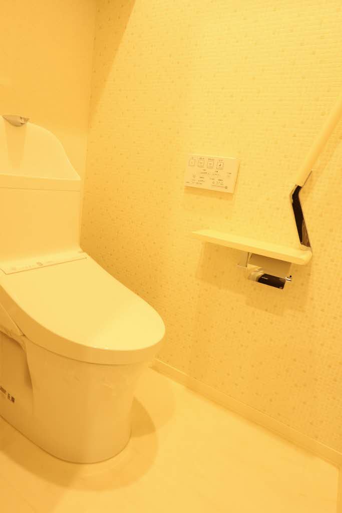 ファルコ鷹匠 305号-6