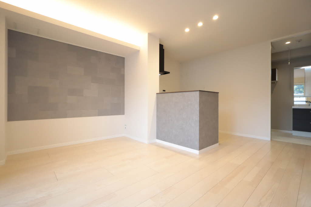 Ａｄｏｎｉｓ長束 A0201号-2