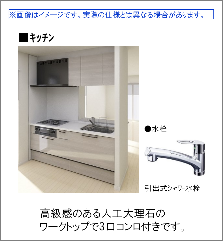 ソレムニティ A0101号-3