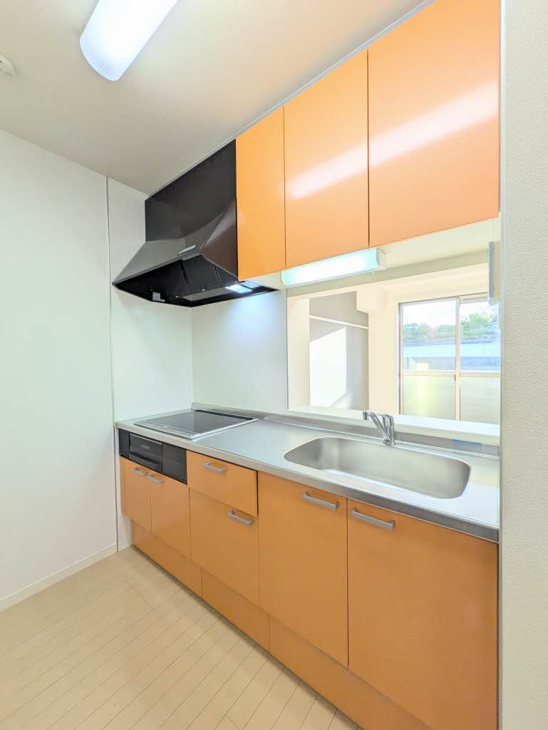 シャーメゾンロビンソン A0201号-3