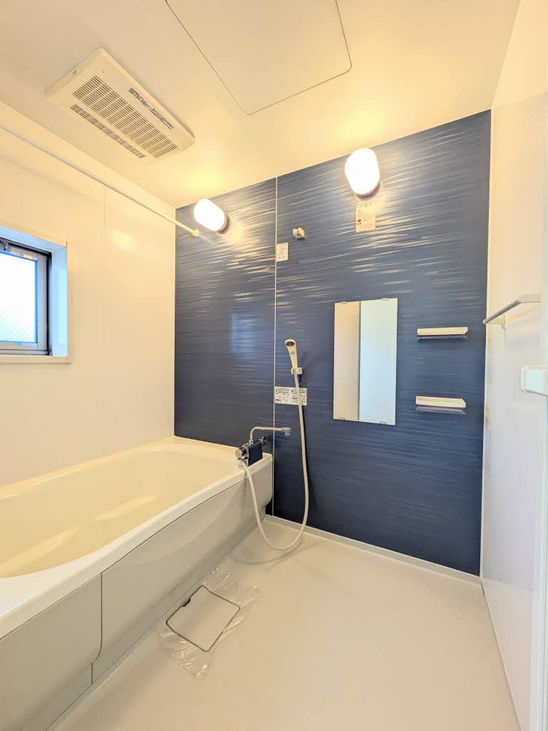 シャーメゾンロビンソン A0201号-6