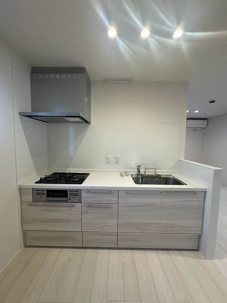 セレーナエルフォ A0201号-10