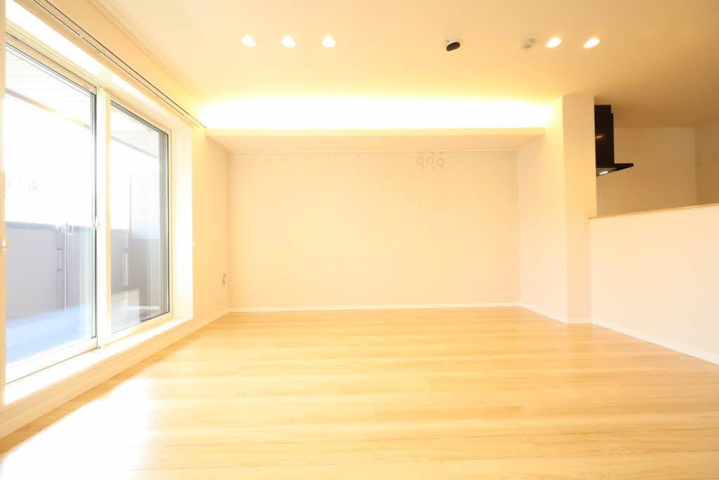 Ｂａｌｌｏｏｎｆｌｏｗｅｒ　Ｓｏｕｔｈ A0202号-3