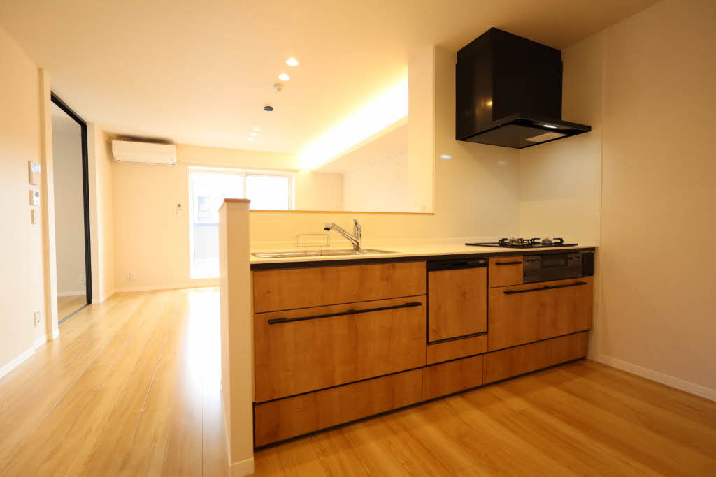 Ｂａｌｌｏｏｎｆｌｏｗｅｒ　Ｓｏｕｔｈ A0202号-5