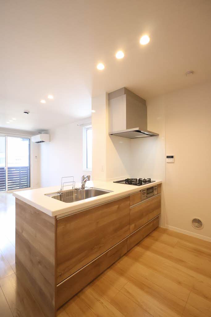 Ｓｈａ　Ｍａｉｓｏｎ　Ｊ A0201号-5