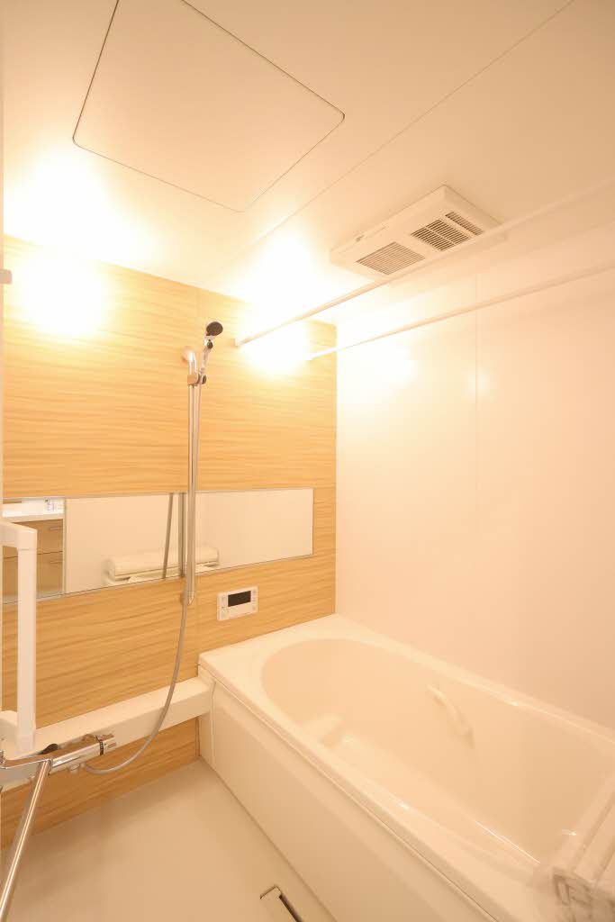 Ｓｈａ　Ｍａｉｓｏｎ　Ｊ A0201号-10