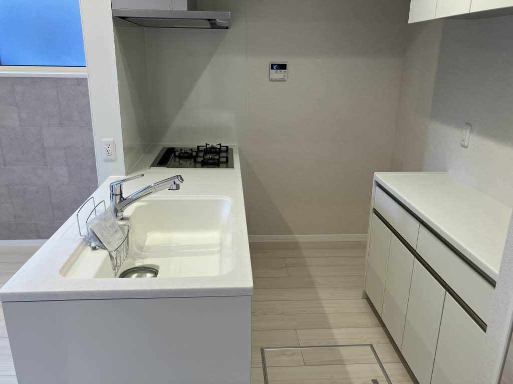 Yanagi Takasu A0103号-8