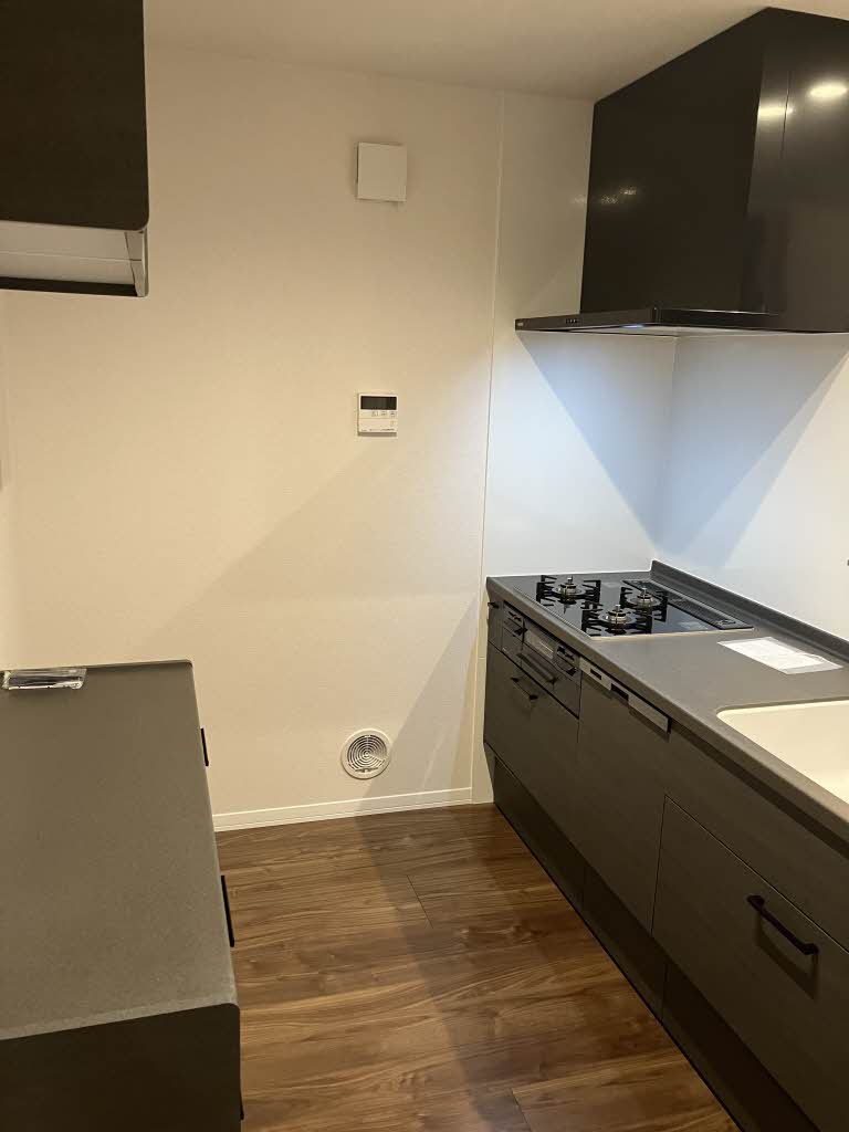 Yanagi Takasu A0201号-8