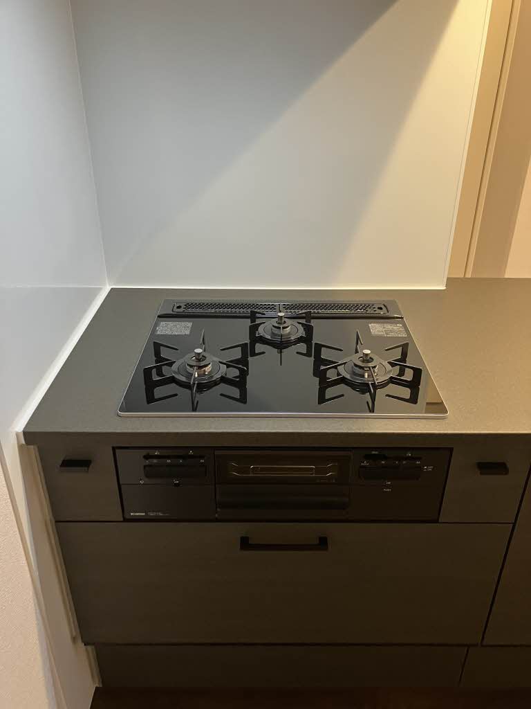 Yanagi Takasu A0202号-9