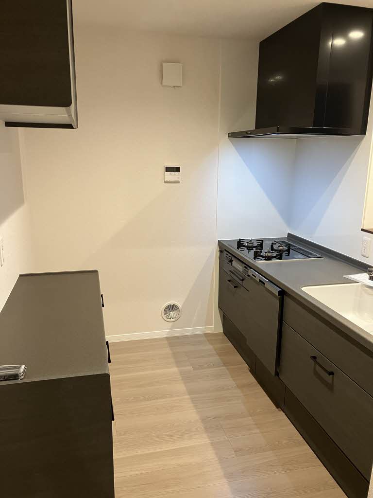 Yanagi Takasu A0301号-8