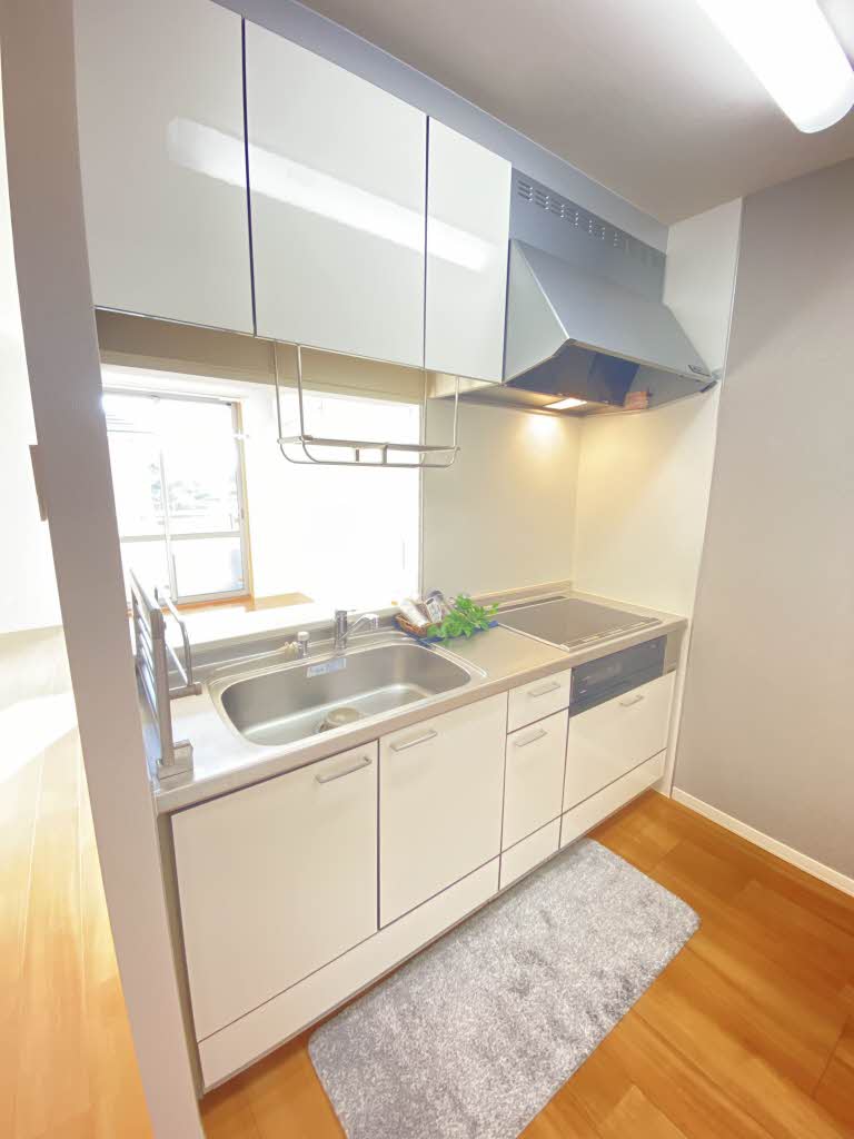 メゾン　ラグランジュ　Ｃ棟 C0202号-3