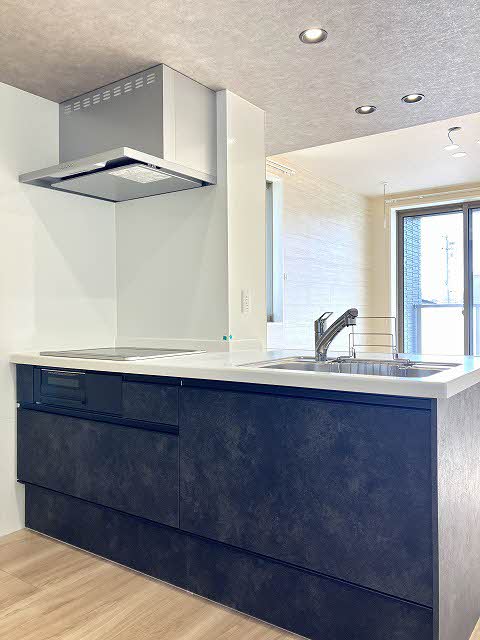 リベラピエナ A0201号-8