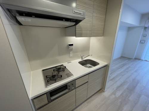 ザ・十日市プレイス 306号-8