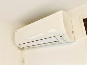 Ｐｕｒｅ・Ｌｉｆｅ－Ｋｕｍｅ A0302号-10