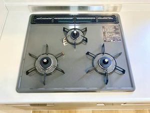 リヴィエール　　Ｃ棟 C0201号-8