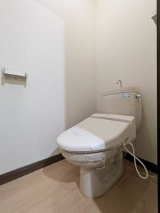 フレグランス野崎 B棟 B0203号-9
