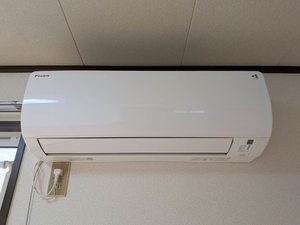 カーザ・ヴェルデ A0201号-12