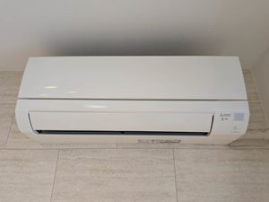 ヴィオラ平井 A棟 A0102号-9