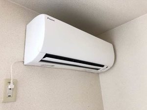 ラフィーネY A0201号-5