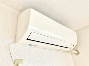 アンシャンテ A0202号-11