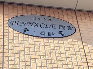 ピナクル・国富 1番館 A0102号-2