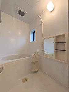 ウェスト・バレイ A0201号-9