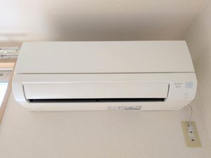 ラ・パルテール大福 Ⅲ C0101号-12