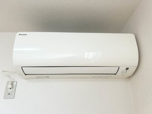 ラ・フルール　ヴィオレット V0202号-10