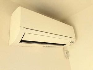 ナシミエント A0103号-7