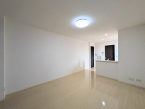 コンソラーレ 弐番館 B0101号-2