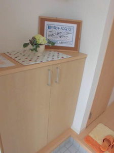 プティフルール A0101号-2