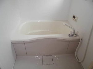 プティフルール A0101号-8