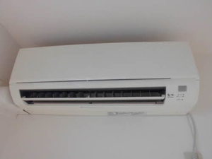 プティフルール A0101号-12