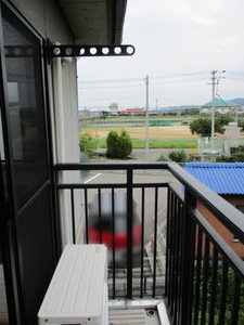 ワンズワン新須賀 A0202号-10