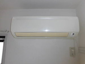 ディアス徳常 A0205号-10