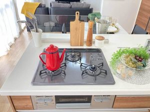 フローラルハイム B棟 B0203号-8