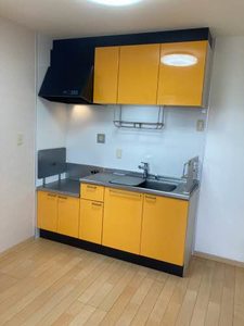 ベガ＆アルタイル A0201号-3