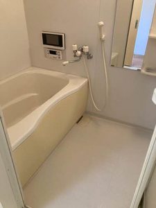 ベガ＆アルタイル A0201号-4