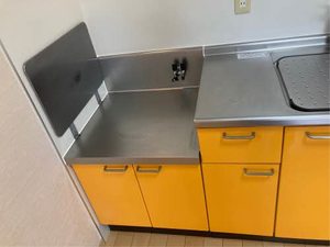 ベガ＆アルタイル A0201号-14