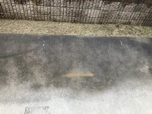 シャーメゾンＢｅ’ｓｅ（ベーゼ） A0103号-13