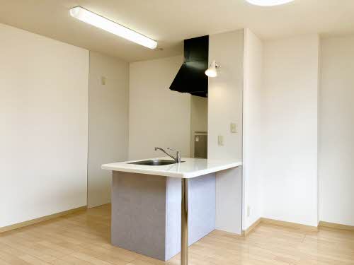 シャーメゾンエスパシオ 2番館 B0202号-9